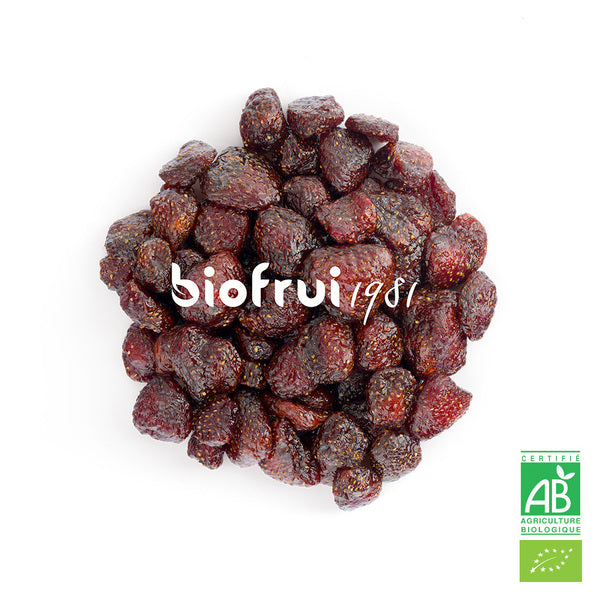 Fraise senga des alpes dinariques séchée entière bio - 1